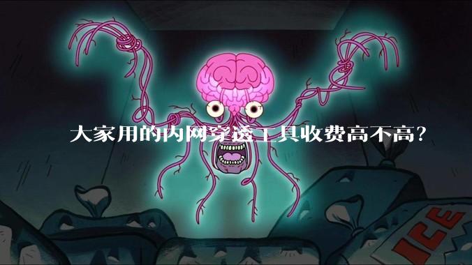 大家用的内网穿透工具收费高不高？