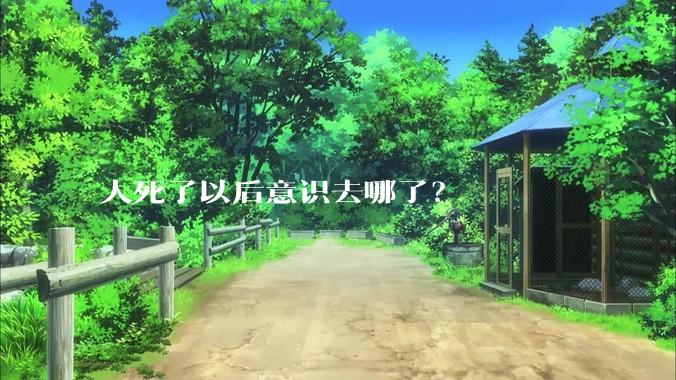 人死了以后意识去哪了？
