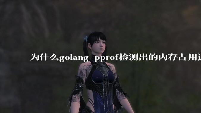 为什么golang pprof检测出的内存占用远小于top命令查看到的内存占用量？