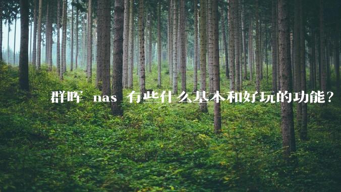 群晖 nas 有些什么基本和好玩的功能？