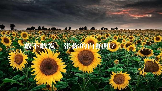 敢不敢发一张你的自拍照？