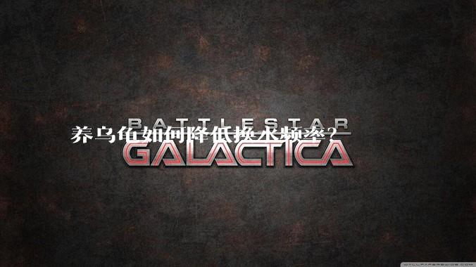 养乌龟如何降低换水频率？