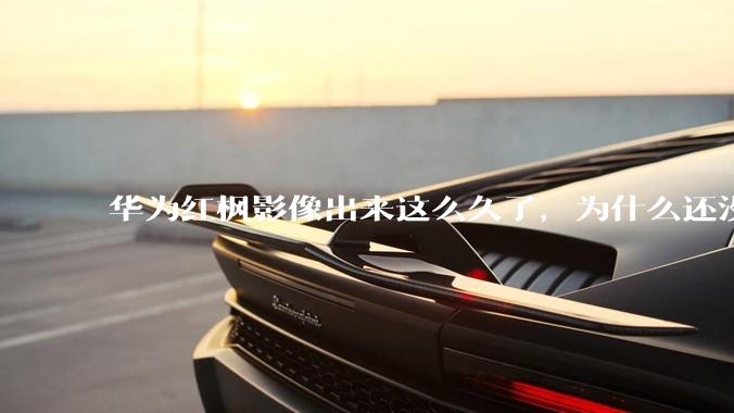 华为红枫影像出来这么久了，为什么还没有友商跟进？是不是说明这是一项可有可无的技术？