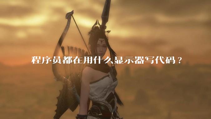 程序员都在用什么显示器写代码?