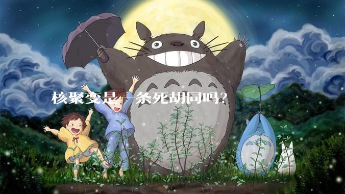 核聚变是一条死胡同吗？