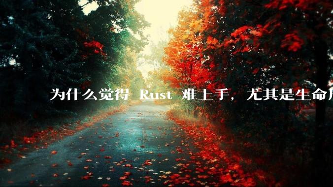 为什么觉得 Rust 难上手，尤其是生命周期？