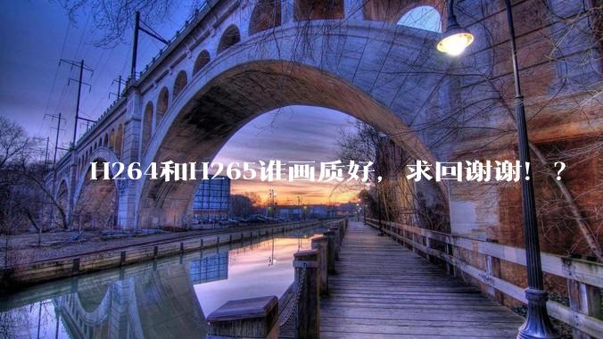 H264和H265谁画质好，求回谢谢！？