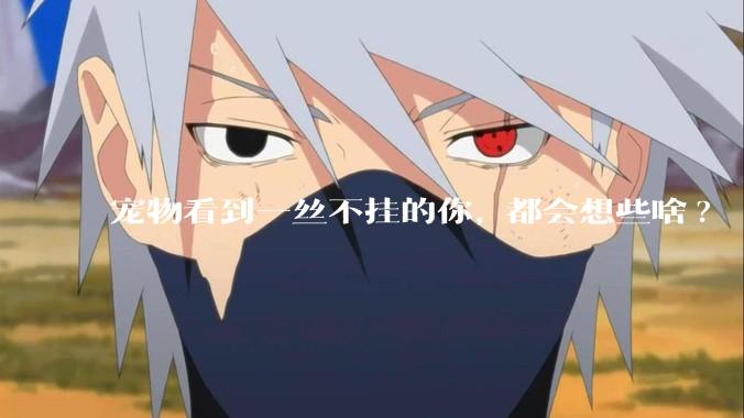 宠物看到一丝不挂的你, 都会想些啥?