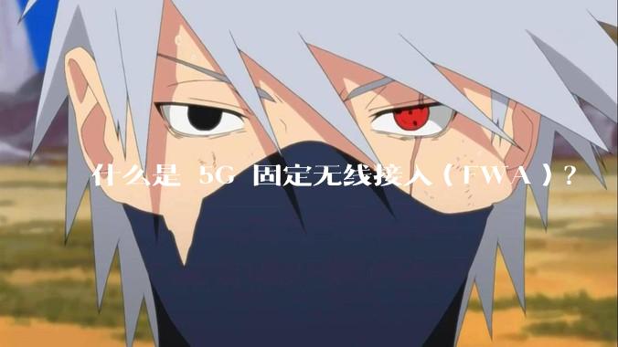 什么是 5G 固定无线接入（FWA）？